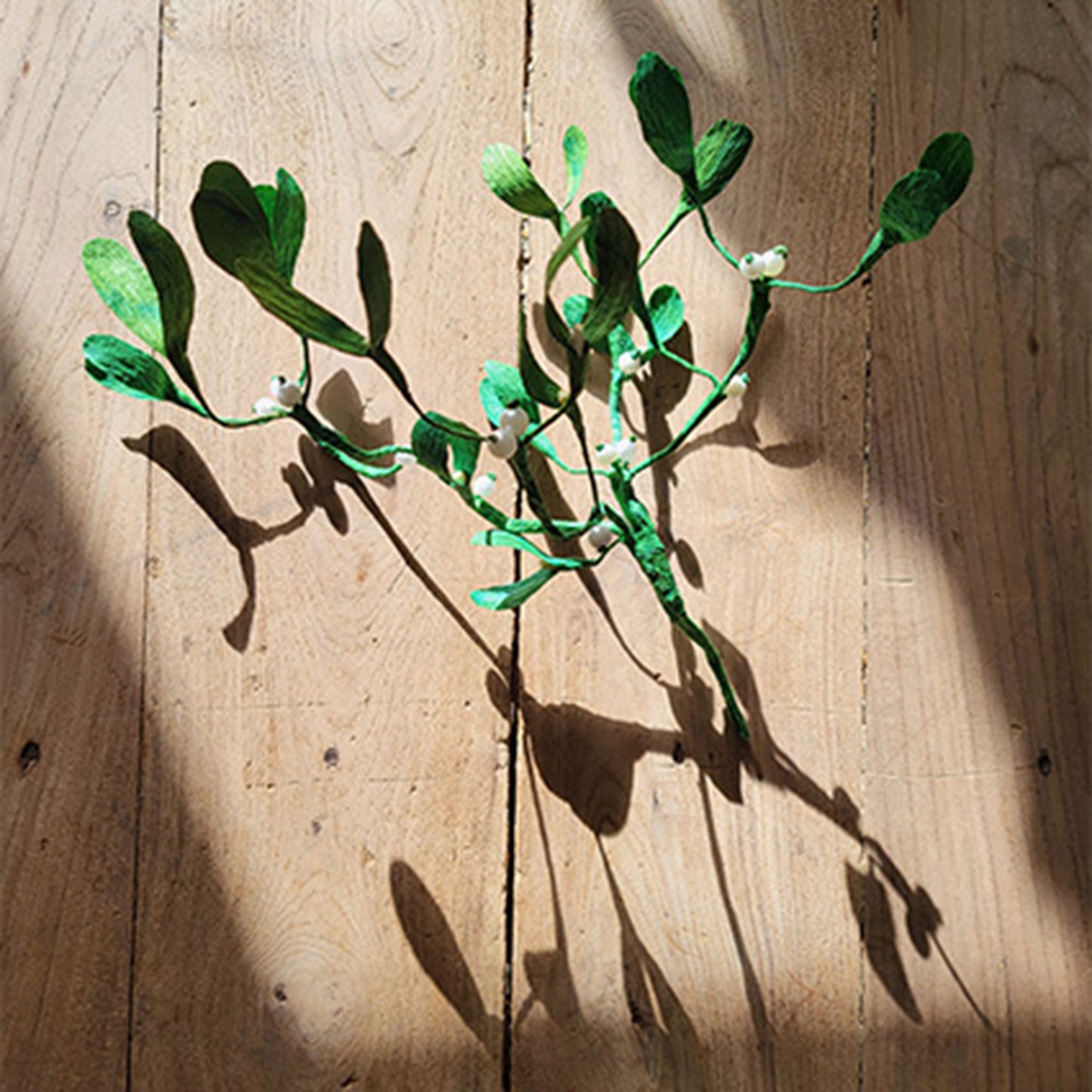 Mistletoes from Sweden