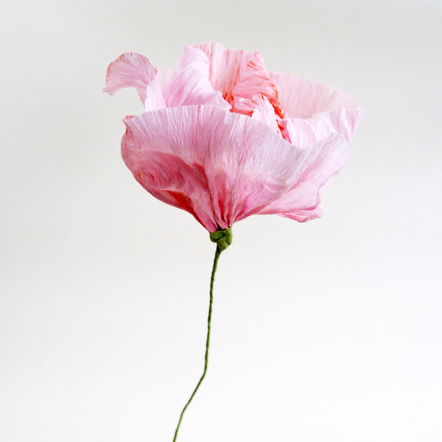 Poppy Paper Flower